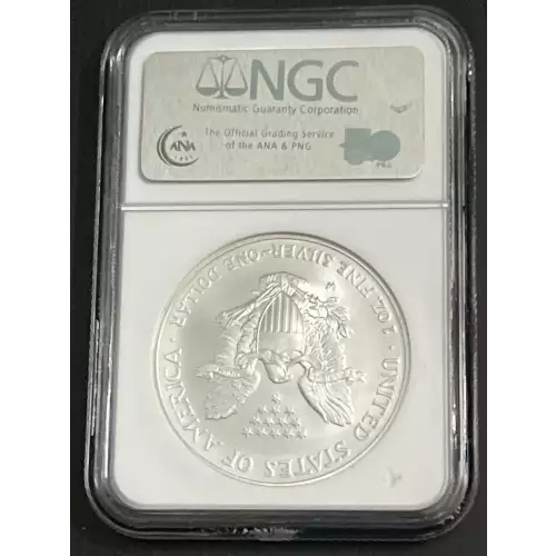 2007 W BURNISHED SILVER EAGLE EARLY RELEASES  (2)