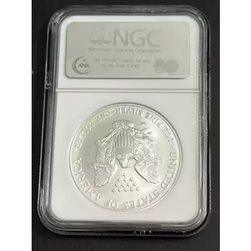 2007 W BURNISHED SILVER EAGLE EARLY RELEASES  (2)