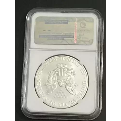 2008 W BURNISHED SILVER EAGLE  (2)