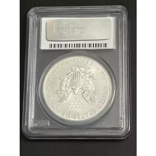 2013-W $1 Burnished Silver Eagle First Strike (2)