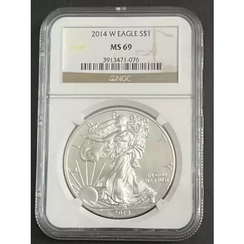 2014 W BURNISHED SILVER EAGLE 