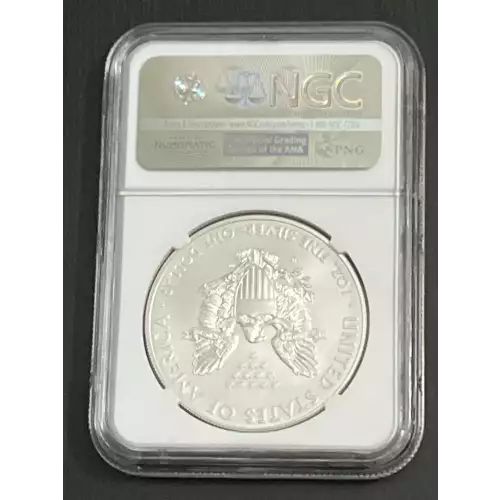 2015 W BURNISHED SILVER EAGLE  (2)