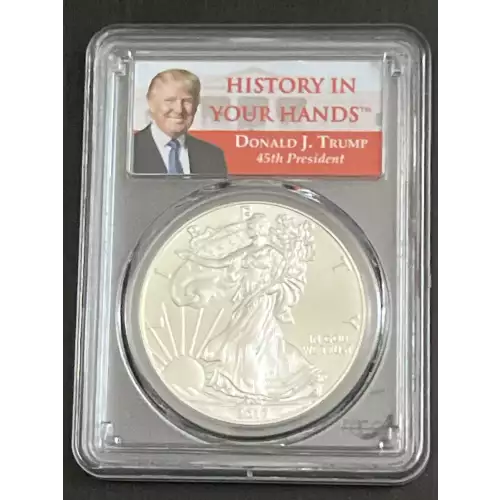 2017 $1 Silver Eagle First Strike