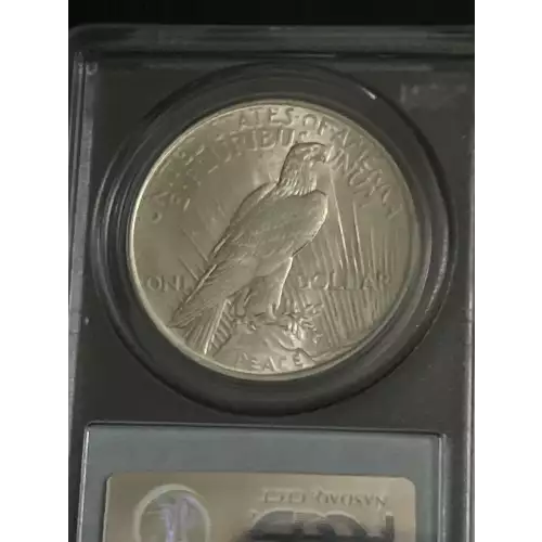 Peace Silver Dollar