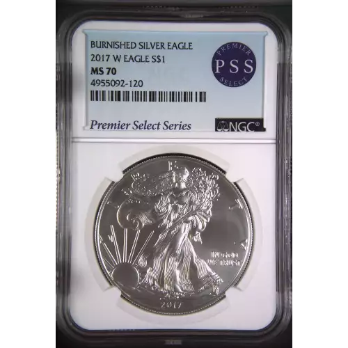 Silver Eagles (2)