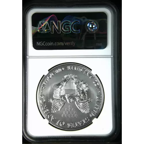 Silver Eagles (3)