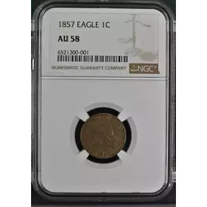 Small Cents---Flying Eagle 1856-1858 -Copper- 1 Cent (2)