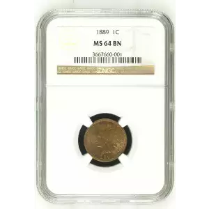 Small Cents-Indian Head 1859-1909 -Copper (2)